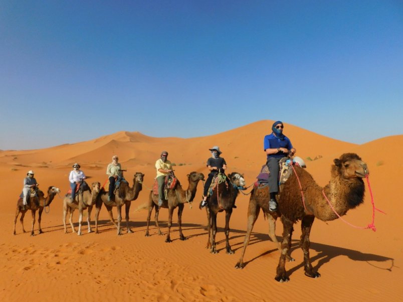 OLLI travelers in Morocco
